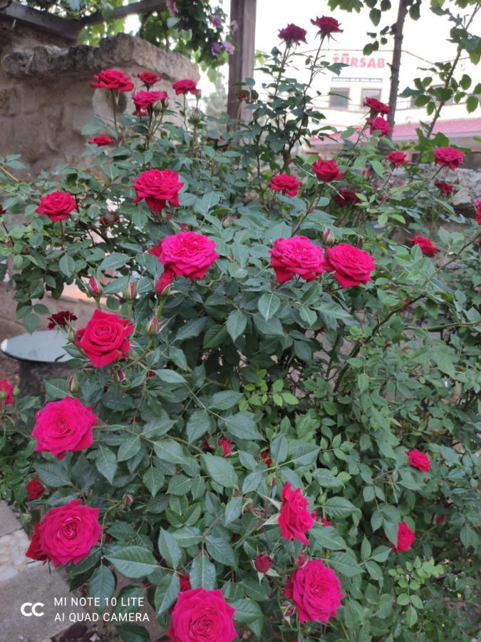 Kayhan Cave Villa Ürgüp Bagian luar foto
